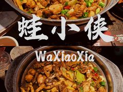 -蛙小侠(卓悦里店)