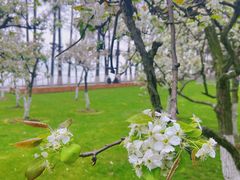 -东湖生态旅游风景区
