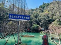 -灵栖洞天
