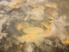 -凯华海鲜火锅·传承三十六年