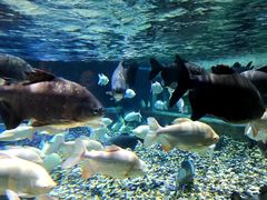 -成都浩海立方海洋公园