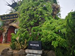 -大槐树寻根祭祖园