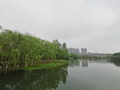 -洋湖国家湿地公园
