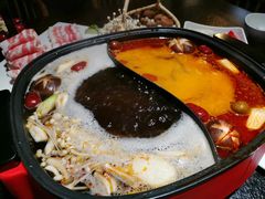 -番食园鲜食火锅(高新店)