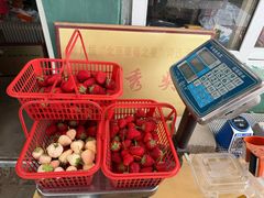 -大自然农场蔬菜草莓采摘园