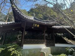 -十八棵（老龙井）御茶园(老龙井店)