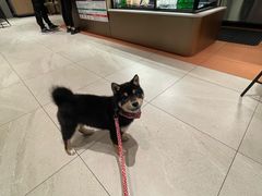 -星巴克(贵阳花果园1店)