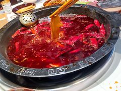 -卤校长老火锅(杨家坪直营店)