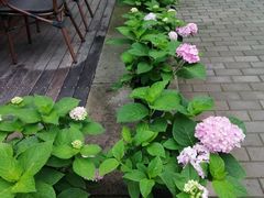 -听风阁农家私房菜茶楼(龙坞店)