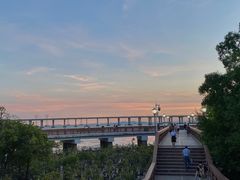 -宝安西湾红树林湿地公园