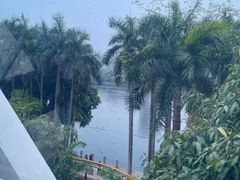 -南宁南湖公园