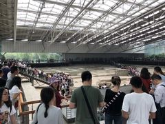景点-金沙遗址博物馆
