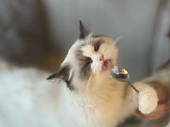 -奥斯卡升龙国际影城(RealD Cinema)