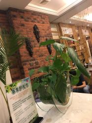 -逸丝风尚