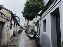 -高邮面(四望亭店)