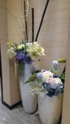 -娇莉芙美颜SPA连锁