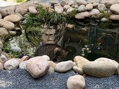 -南枝小馆(银鱼巷店)