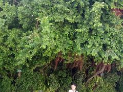 -柬埔寨国家博物馆