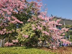 -中国移动南方基地