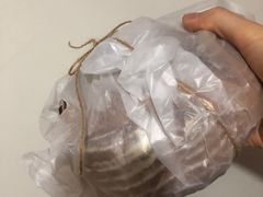 -Mesa Madre梅萨妈妈·Bintana(国贸店)