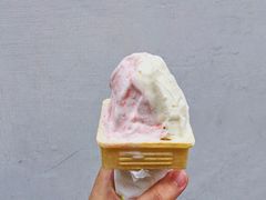 -柠檬车露(卖草地店)