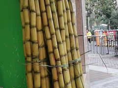 -鲜丰水果(水尚阑珊店)