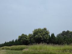 -汉长安城未央宫国家考古遗址公园