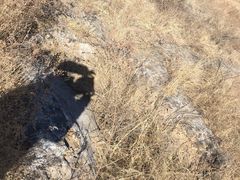 -昂昂溪遗址博物馆