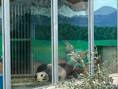 -苏州太湖国家湿地公园
