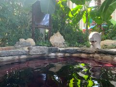 -中家鑫园温泉酒店鑫悦汤泉