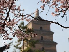 -大唐博相府酒店·陕西官府菜