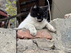 -松州古城