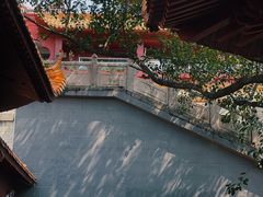 -深圳仙湖植物园