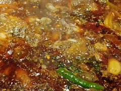 -小饕荟雅安贡椒鱼鲜馆(广福桥店)
