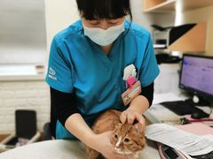 -美联众合动物医院·24h京西诊疗中心