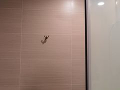 -广州天河体育中心美居酒店