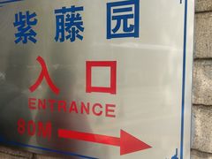 -嘉定紫藤园
