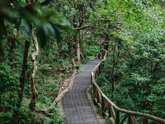 -龙苍沟森林公园