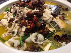 -周正水煮活鱼·吊水鱼(万科店)