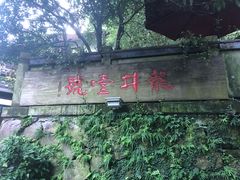 -龙井壹号·茶缘山景宴(龙井村店)