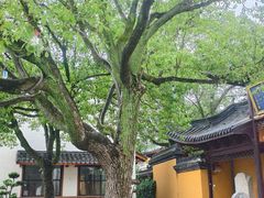 -丝绸小镇荻港古村