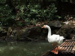 -兰亭风景区