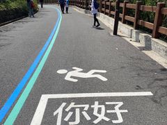 -杭州半山国家森林公园