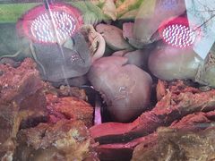 -洪记白水羊头(天坛店)