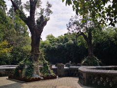 -习家池