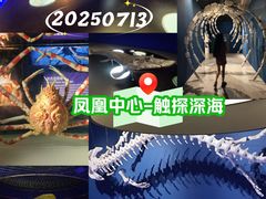 -凤凰中心