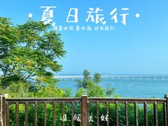 -星海湾跨海大桥
