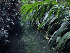 -广州兰圃