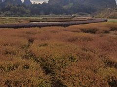 -靖西鹅泉风景区