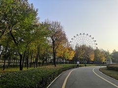 -西安浐灞国家湿地公园